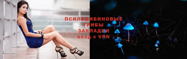 бошки Богородск