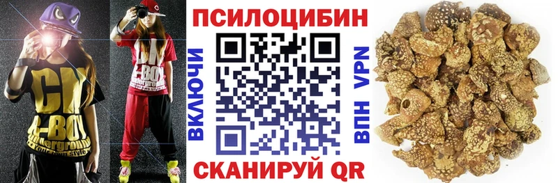 Купить закладки  Клинцы  Псилоцибиновые грибы ЛСД 
